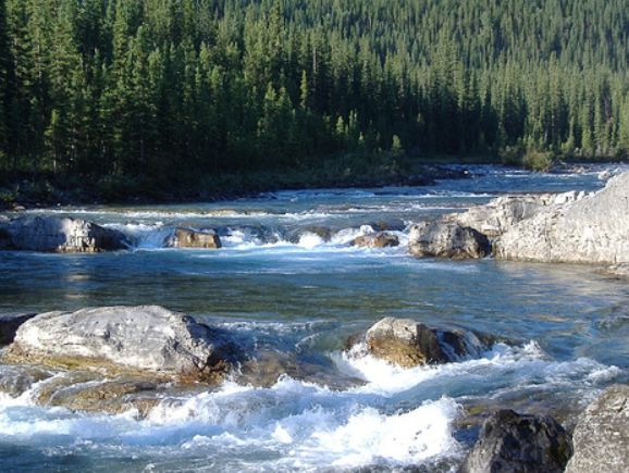 Elbow River in Calgary